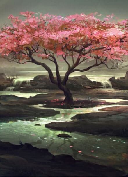 Весенние деревья и закатные облака